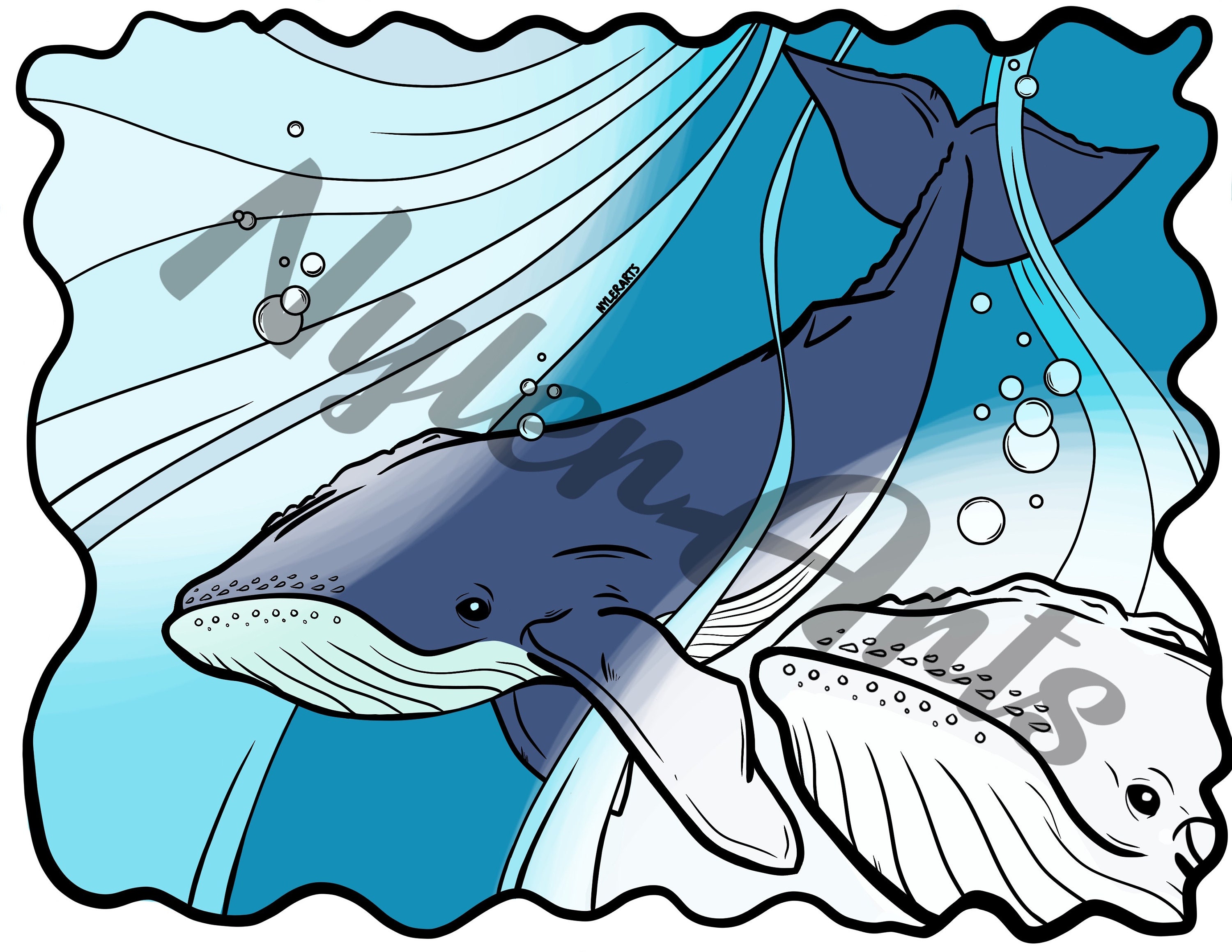 Humpback Whale Coloring (colouring) Sheet (page) - Just Download and Print! - Etsy