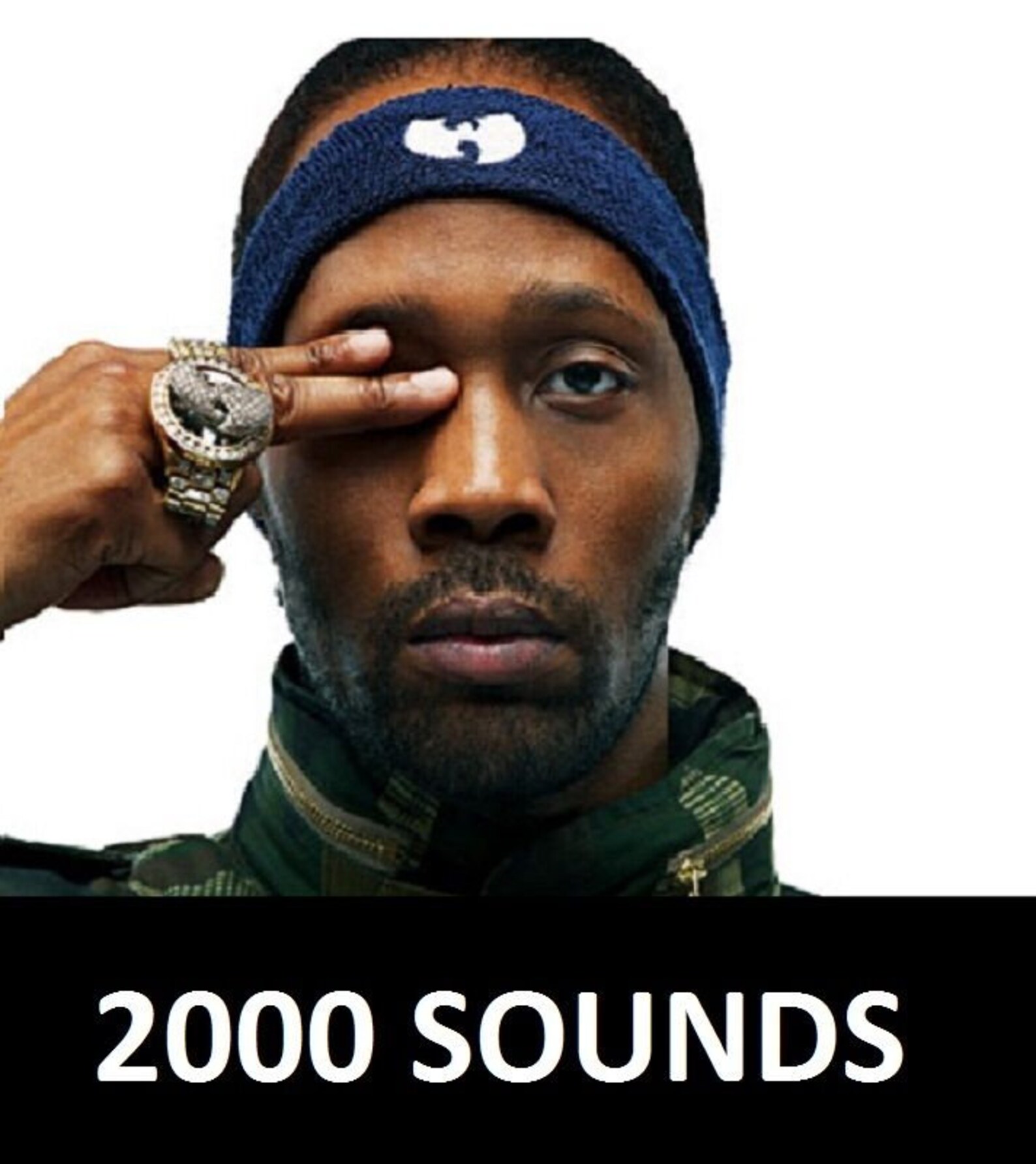 RZA Drum Samples Kit Wutang Hip Hop Sounds R&B MPC Xl Maschine Logic FL Studio Etsy