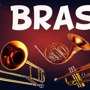 May include: A collection of brass instruments including a tuba, trombone, French horn, and trumpet. The instruments are arranged in a semi-circle with the word "BRASS" in large white letters above them.