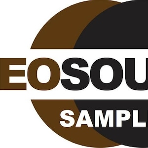 Op de afbeelding: Een logo voor een bedrijf genaamd "Neosoul Samples" met een bruin en zwart cirkelontwerp.