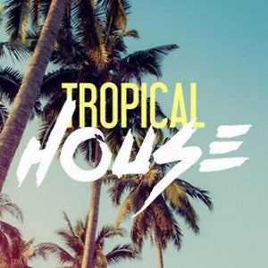 Könnte beinhalten: Foto von Palmen mit den Worten "TROPICAL HOUSE" in Gelb und Weiß. Der Text ist vor dem Hintergrund von Palmen und blauem Himmel platziert. Das Bild hat eine Vintage- und tropische Ausstrahlung.
