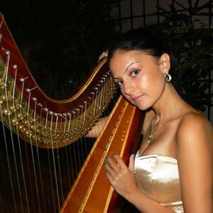 May include: A woman plays a harp, wearing a white strapless dress and a silver necklace. The harp is made of wood and has gold strings.