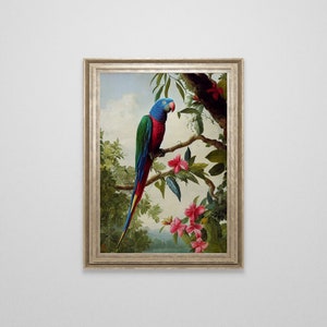 Vintage Tropical Parrot Oil Painting | Vintage Illustration | Antique Victorian Decor | Tropical Jungle Painting | Macaw Birds Wall Art