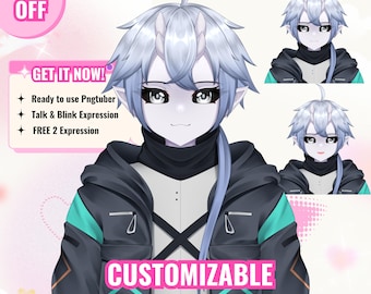 Modelo PNGtuber personalizado para streaming: VTuber para Twitch, YouTube y Discord.