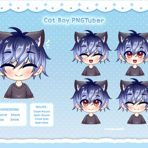 Chibi Pngtuber Model Cat Boy Pngtuber | PNGTUBER CHARACTER, Custom Chibi PNGtuber, Custom Chibi Pngtuber Live2D Model, Pngtuber Model
