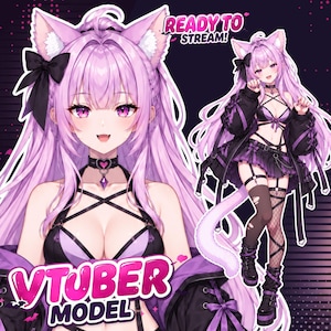 Custom VTuber Model: Live2D Bust Up model, Rigged for VTube Studio