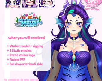 Custom VTuber Model Bundle | Stream Ready Anime Avatar, VTuber Bundle Commission, Custom VTuber Model Pack, Twitch YouTube Ready