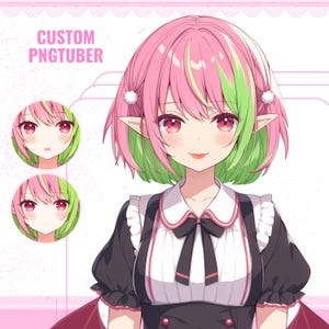 Custom Pngtuber  | PNGtuber Commission, Custom PNGtuber Model, PNGtuber Anime, Twitch & YouTube, 2-Expression PNG Model, PNG Model