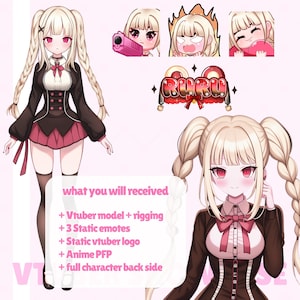 Custom VTuber Model Bundle | Stream Ready Anime Avatar, VTuber Bundle Commission, Custom VTuber Model Pack, Twitch YouTube Ready
