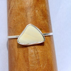 Seashell Bracelet Cuff - Sterling Silver - Size: 6 inches