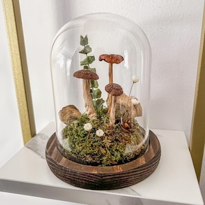 Dried Mushroom Terrarium Dome | Glass Cloche on Wood Base | Rustic Botanical Home Décor