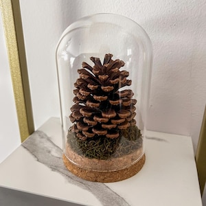 May include: A decorative glass cloche with a large brown pine cone inside, set on a bed of green moss and a cork base. The cloche sits on a white and gray marble-patterned surface.