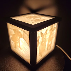 Custom - 5 Picture Light Box (Lithophane)