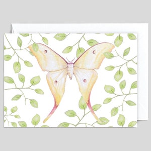 Indian Moon Moth Grußkarte