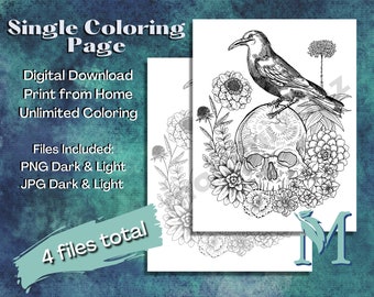 Printable Coloring Page | Skull Crow | Digital Download | Print at Home | Adult Coloring | Messenger of Death