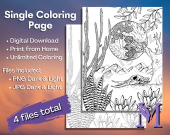 Printable Coloring Page | Desert Moon | Digital Download | Print at Home | Adult Coloring | Under a Blood Moon