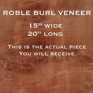 Peut inclure: Un placage de bois avec un motif de loupe. Il mesure 38 cm de large et 51 cm de long. Le texte "ROBLE BURL VENEER" est imprim&eacute; en haut de l'image. Le texte "THIS IS THE ACTUAL PIECE YOU WILL RECEIVE" est imprim&eacute; sous les mesures.