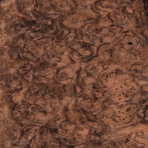 Walnut Burl raw all wood  veneer 10”x15”x1/45” Premium quality.
