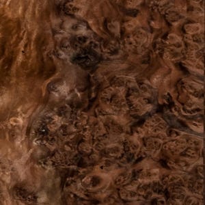Walnut Burl raw all wood  veneer 8.5”x31.5”x1/45” Premium quality. Exotic