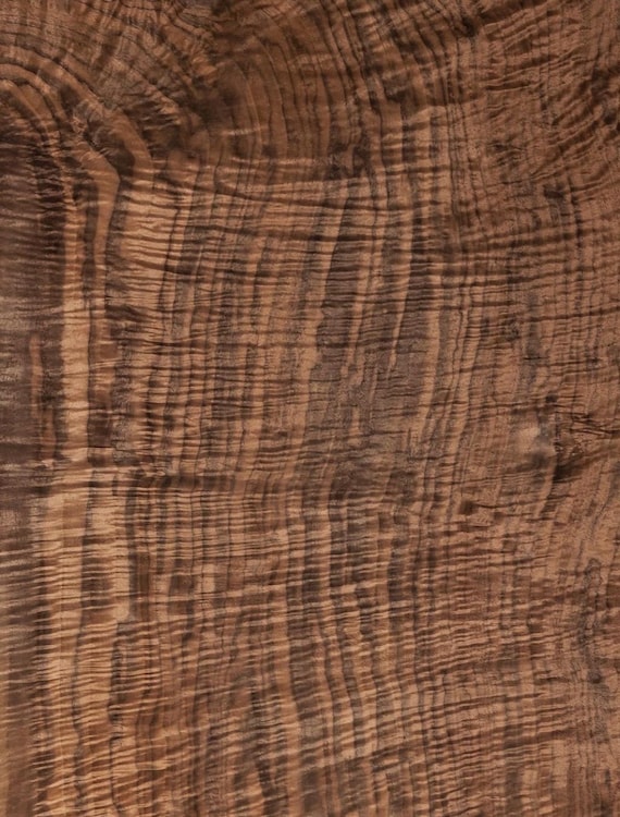 Fiddleback Walnut Raw All Wood Veneer 23.5”x31.5”x1/45” Premium
