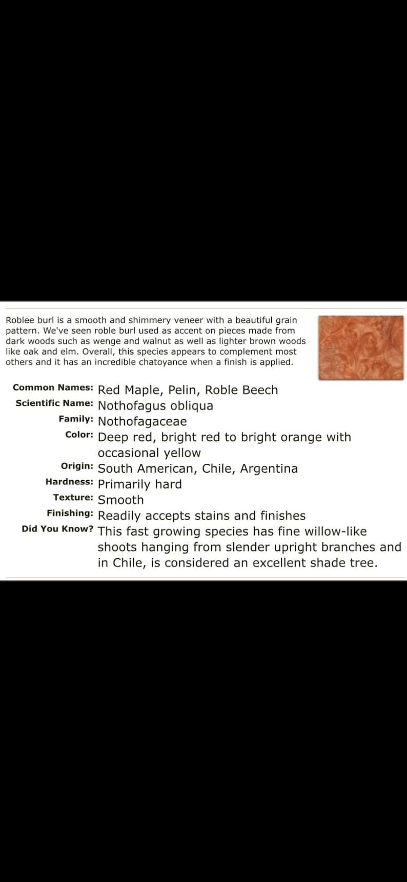 May include: Image of Roblee burl veneer with a beautiful grain pattern. The color is deep red, bright red to bright orange with occasional yellow. The wood is primarily hard and smooth. Common names include Red Maple and Roble Beech.