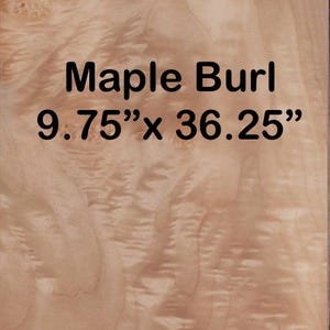 Maple Burl raw all wood exotic veneer 9.75” wide x 36.25” long x 1/42” thick. Premium quality.