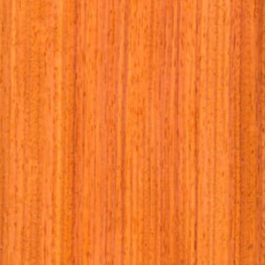 Quartered Padauk raw all wood exotic veneer. 6.5”-7.5” wide x 36” long x  1/42” thick Premium quality. Ships 1 day