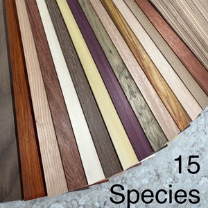 15 essences différentes de 1/16 po. x 2 po. x 12 po. Bois durs exotiques et domestiques. Emballage varié, cnc, prêt pour le laser, bois dur mince.