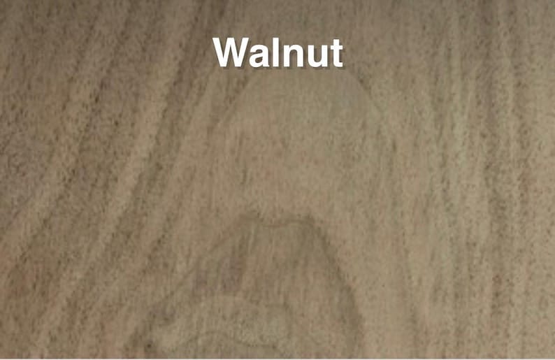 Walnut Colour Variations 1/4”x6”x12” 12 Different Species Exotic and Domestic Solid Hardwoods ...