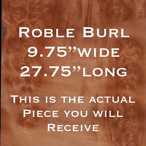 Roble Burl wood veneer. Exotic, raw thin hardwood  veneer, marquetry, fine furniture, premium quality, Ships 1 day