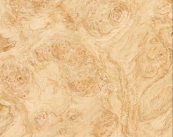 White Oak Burl raw all wood  veneer 10.25”x17.75”x1/45” Premium quality.