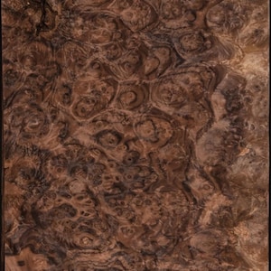 Walnut Burl raw all wood  veneer 10”x19.75”x1/45” Premium quality.