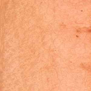 Madrone Burl raw all wood exotic veneer 12” wide x 16.75” long x 1/42” thick. Premium quality. Ships 1 day