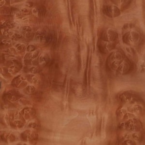 May include: Close-up of a wood grain pattern with a warm, reddish-brown hue. The wood features a unique burl pattern with swirling and knot-like formations, creating a textured and organic appearance. The grain is visible throughout the surface.