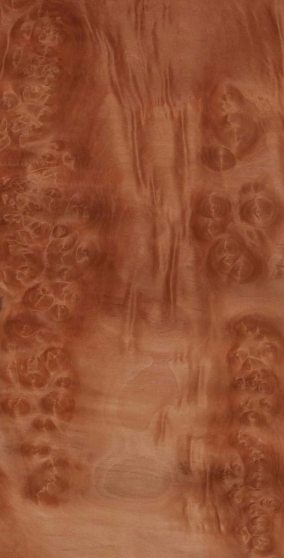 Roble Burl wood veneer. Exotic, raw thin hardwood  veneer, marquetry, fine furniture, premium quality, Ships 1 day