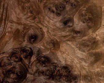 Walnut Burl raw all wood  veneer 7.75”x23”x1/45” Premium quality.