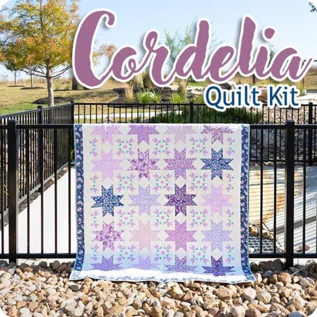 Cordelia Quilt Kit by Riley Blake - Etsy