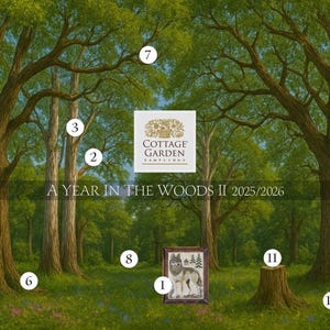 Puede incluir: Una escena artística de un bosque con grandes árboles y una obra de arte enmarcada que presenta un lobo. La obra de arte está etiquetada como "A Year in the Woods II 2025/2026" y la marca es "Cottage Garden Samplings".