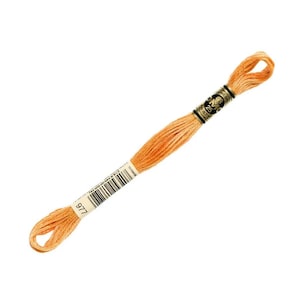 DMC 977- 6 Strand Embroidery Floss