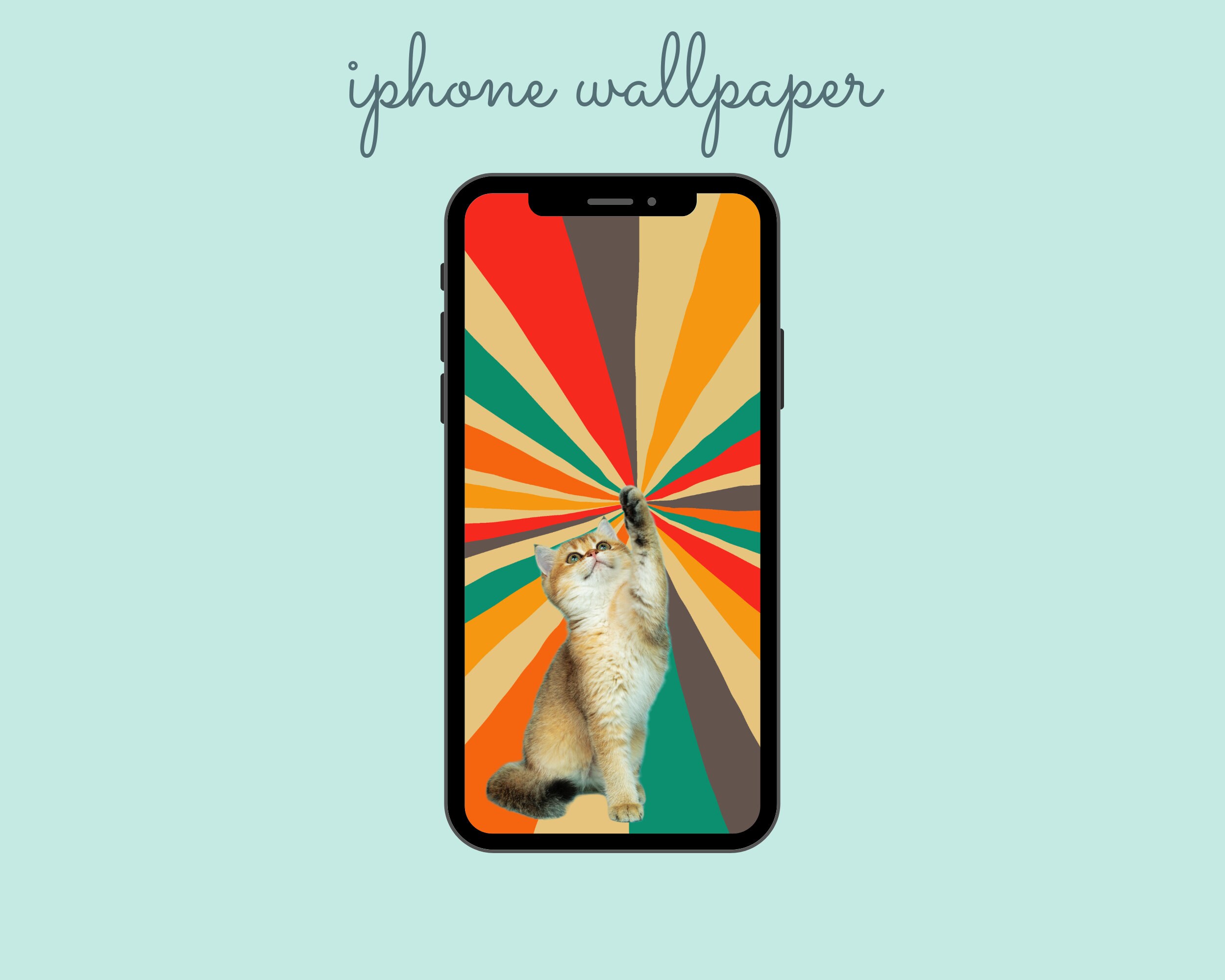 lockscreens & icons  Cat aesthetic, Cute cat wallpaper, Iphone wallpaper  cat