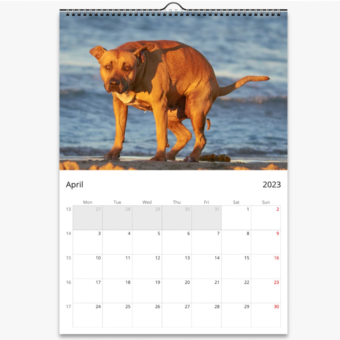 2023-pooping-dogs-calendar-funny-dog-lover-gift-for-men-women-etsy