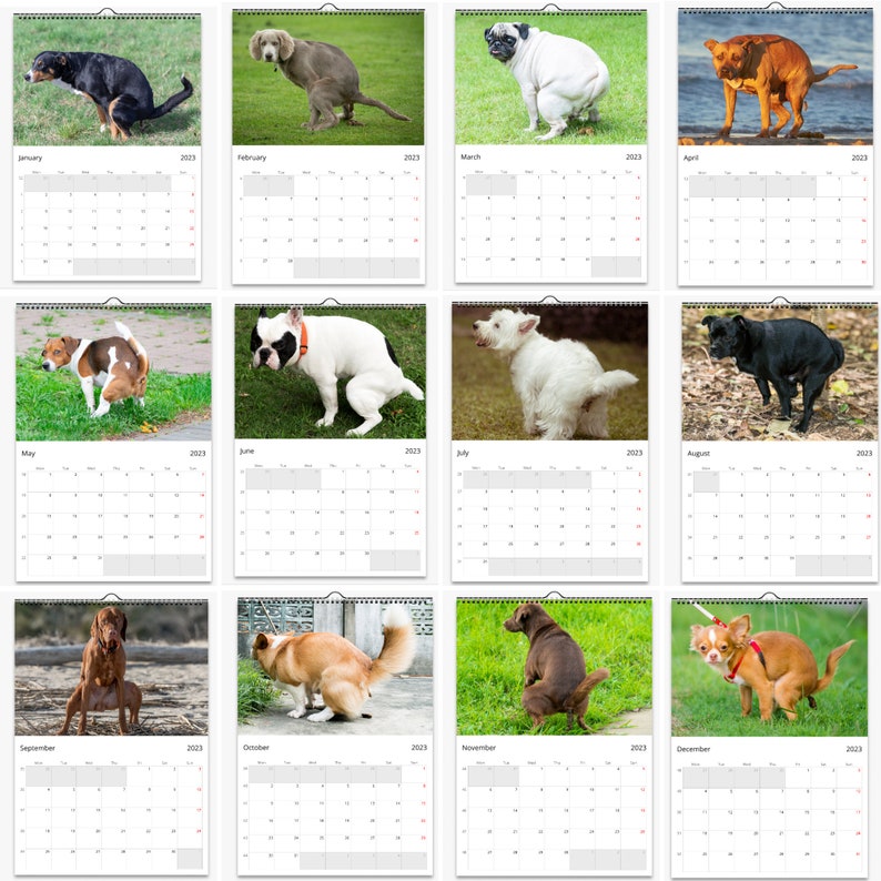 2023 Pooping Dogs Calendar Funny Dog Lover Gift for Men Women Etsy