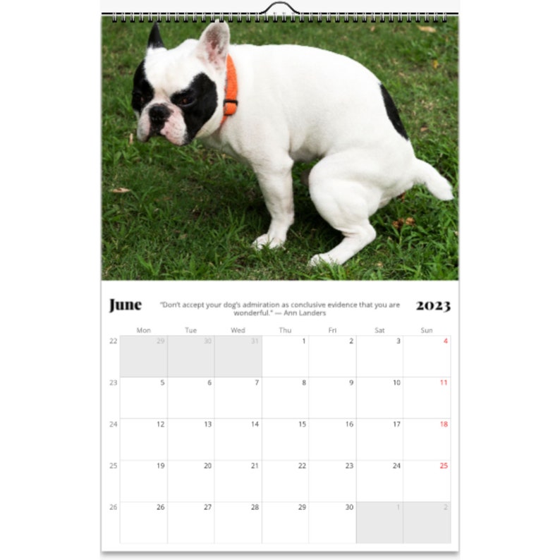 Pooping Dogs 2023 Calendar Funny Dog Lover Gift for Men Women Etsy