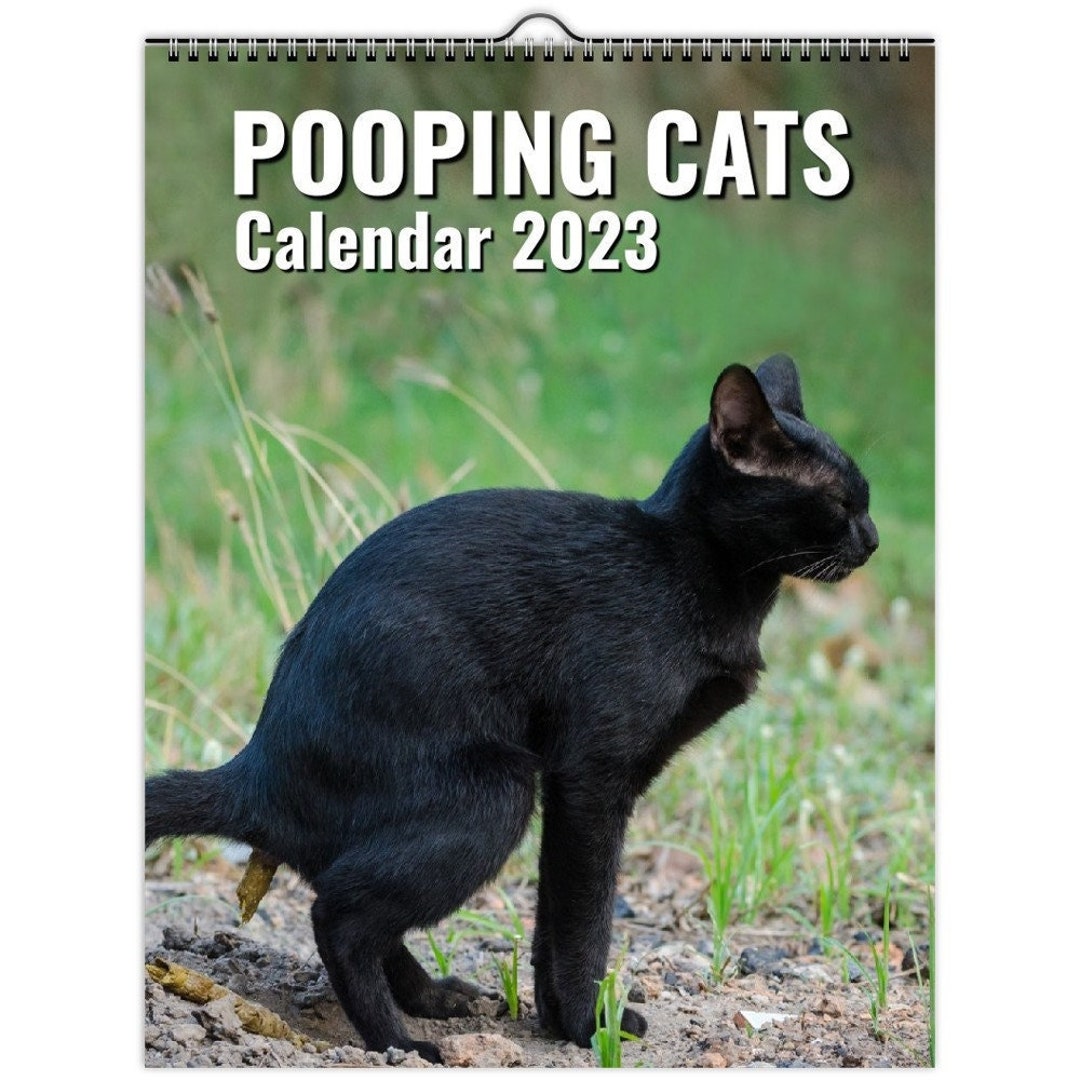 Pooping Cats Calendar 2023 Funny Cat Lover Gift for Men Women Etsy