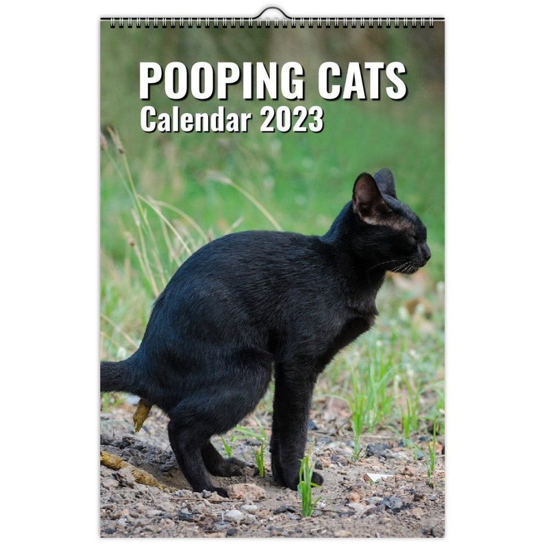 Pooping Cats Calendar 2023 Funny Cat Lover Gift for Men Women Etsy