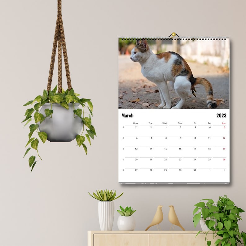 Pooping Cats Calendar 2023 Funny Cat Lover Gift for Men Women Etsy