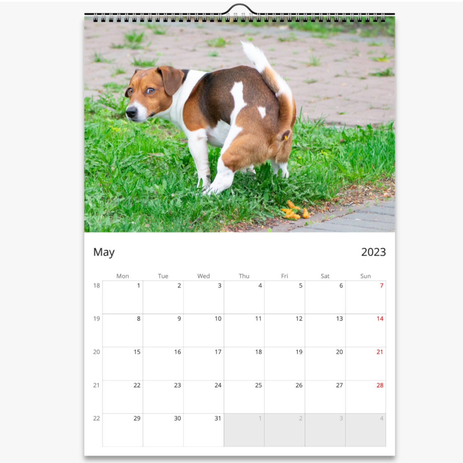 2023 Pooping Dogs Calendar Funny Dog Lover Gift for Men Women Etsy