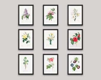 Set Of 9 Botanical Prints Digital Floral Decor Posters Vintage Flower Art Prints Floral Wall Prints Vintage Botanical Prints