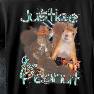 Stylish peanut the squirrel shirt,funny meme squirrel tee,Justice for Peanut Shirt,bootleg hip hop t shirt,Squirrel Lover Tshirt,Animal.