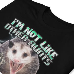 Funny Opossum Shirt, I'm Not Like Other Aunts I'm Worse Shirt, Trash Animal Graphic Tee, Raccoon Meme Shirt, Feral Aunt Gift, Possum Lover.